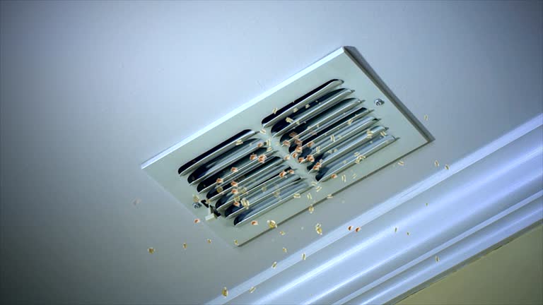 Best Ductwork Cleaning Services  in Andrews, SC