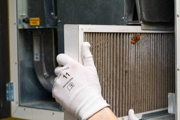 Best Dryer Vent Cleaning Services  in Andrews, SC