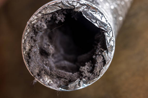 Best Affordable Air Duct Cleaning  in Andrews, SC